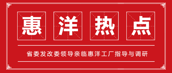 省委發(fā)改委領(lǐng)導親臨惠洋工廠指導與調(diào)研