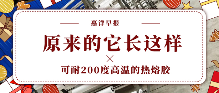 一種可耐200度高溫的熱熔膠網(wǎng)膜原來就長這樣